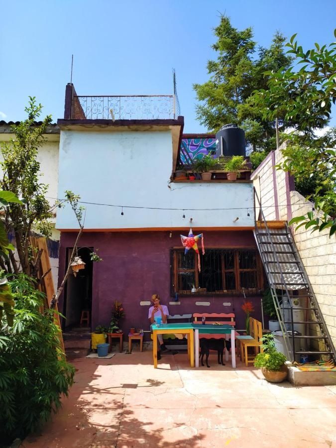 Lipi House Hostel San Cristobal de las Casas Exterior photo